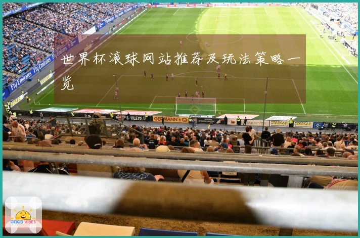 世界杯滚球网站推荐及玩法策略一览