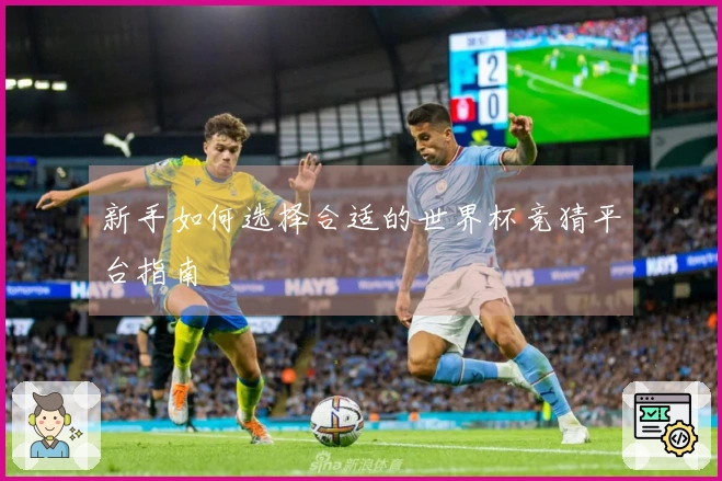 新手如何选择合适的世界杯竞猜平台指南