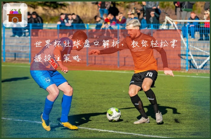 世界杯让球盘口解析，教你轻松掌握投注策略